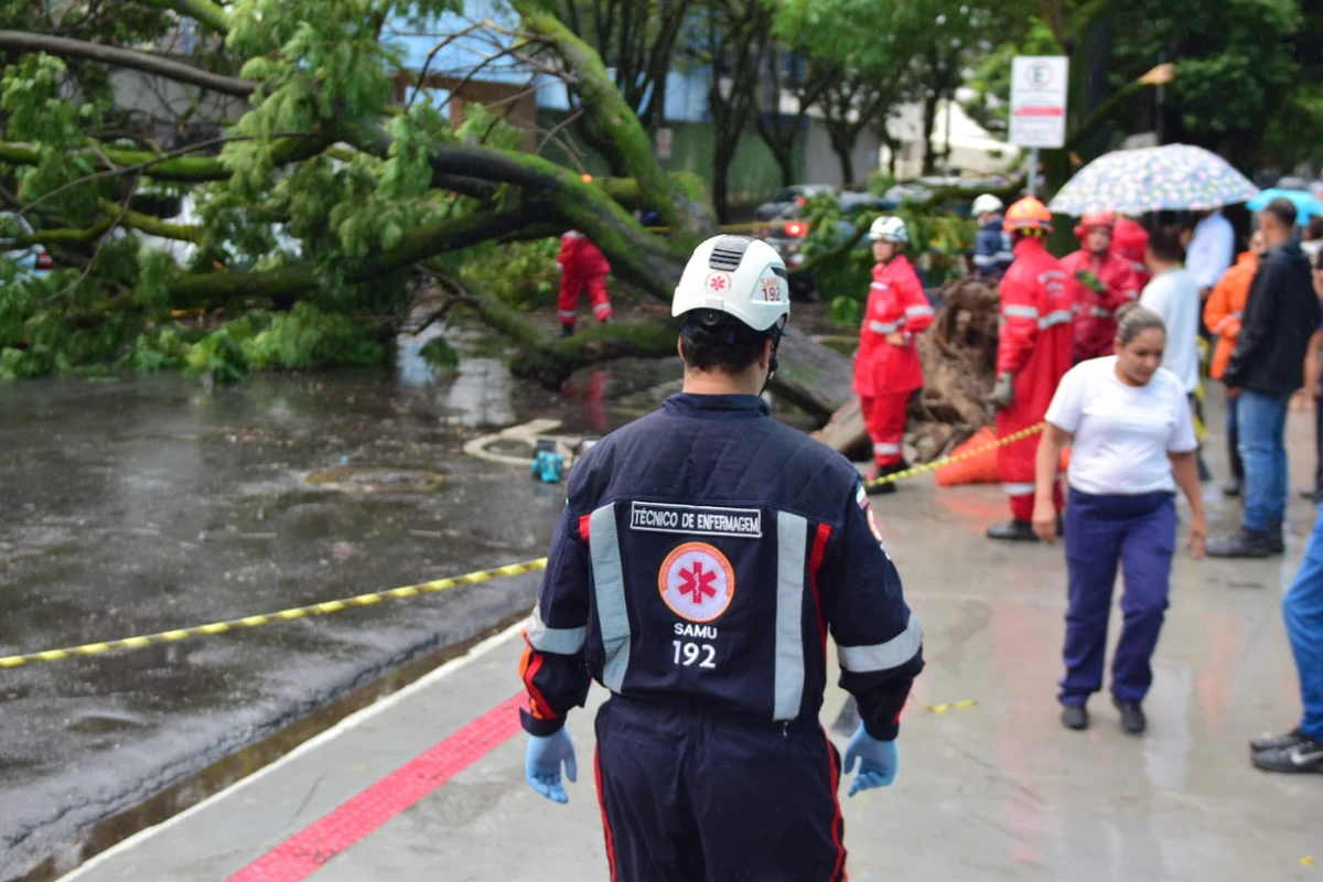 Seis carros atingidos por árvore em frente à Maternidade Unimed, em Santa Lúcia. Não houve feridos por Fernando Madeira/A Gazeta