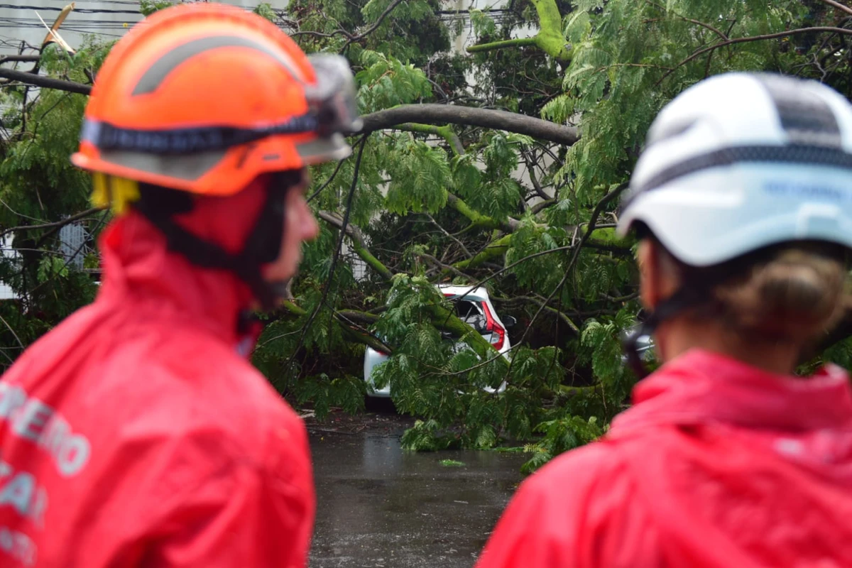 Seis carros atingidos por árvore em frente à Maternidade Unimed, em Santa Lúcia. Não houve feridos por Fernando Madeira/A Gazeta