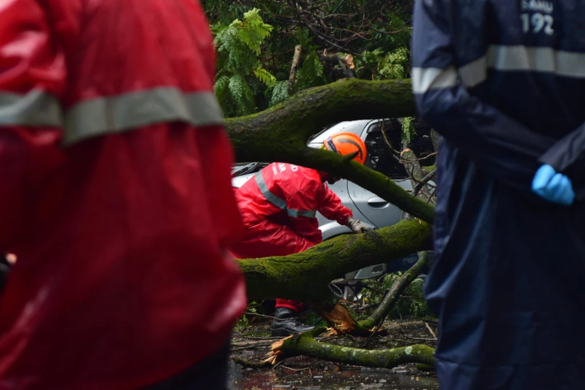 Seis carros atingidos por árvore em frente à Maternidade Unimed, em Santa Lúcia. Não houve feridos por Fernando Madeira/A Gazeta