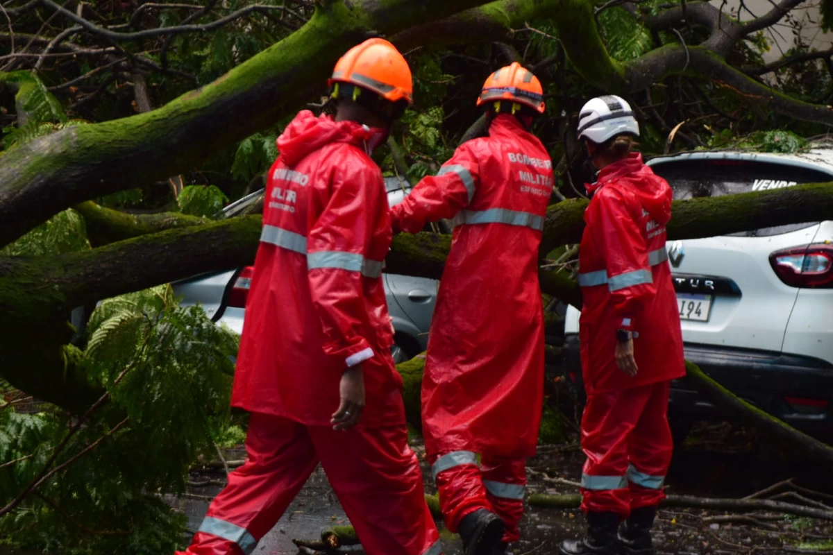 Seis carros atingidos por árvore em frente à Maternidade Unimed, em Santa Lúcia. Não houve feridos por Fernando Madeira/A Gazeta