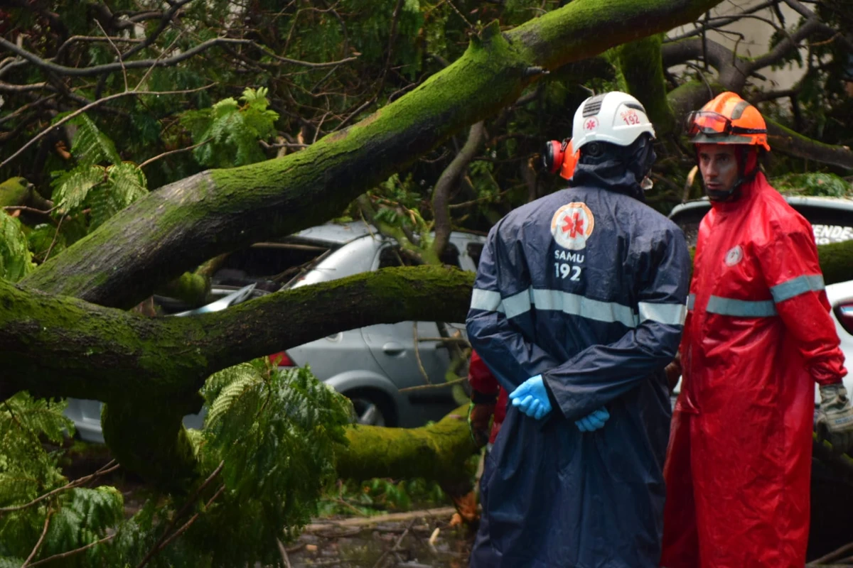 Seis carros atingidos por árvore em frente à Maternidade Unimed, em Santa Lúcia. Não houve feridos por Fernando Madeira/A Gazeta
