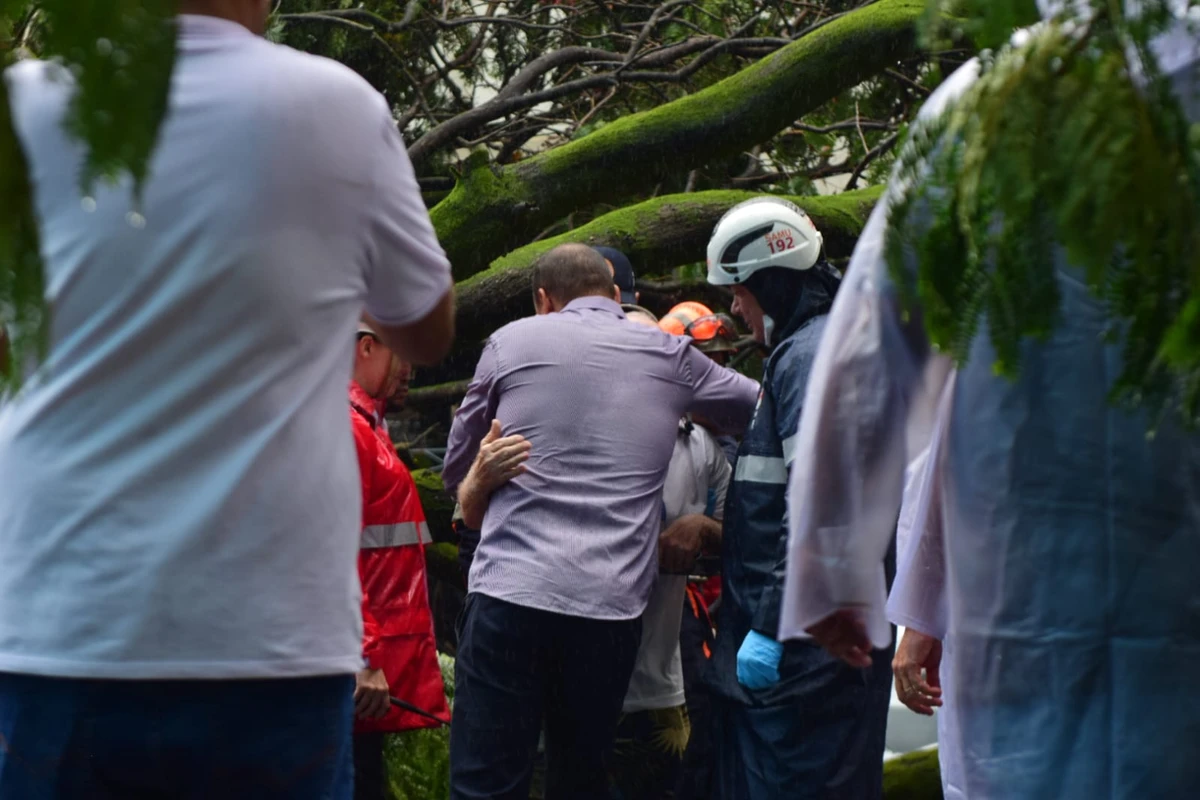 Seis carros atingidos por árvore em frente à Maternidade Unimed, em Santa Lúcia. Não houve feridos por Fernando Madeira/A Gazeta
