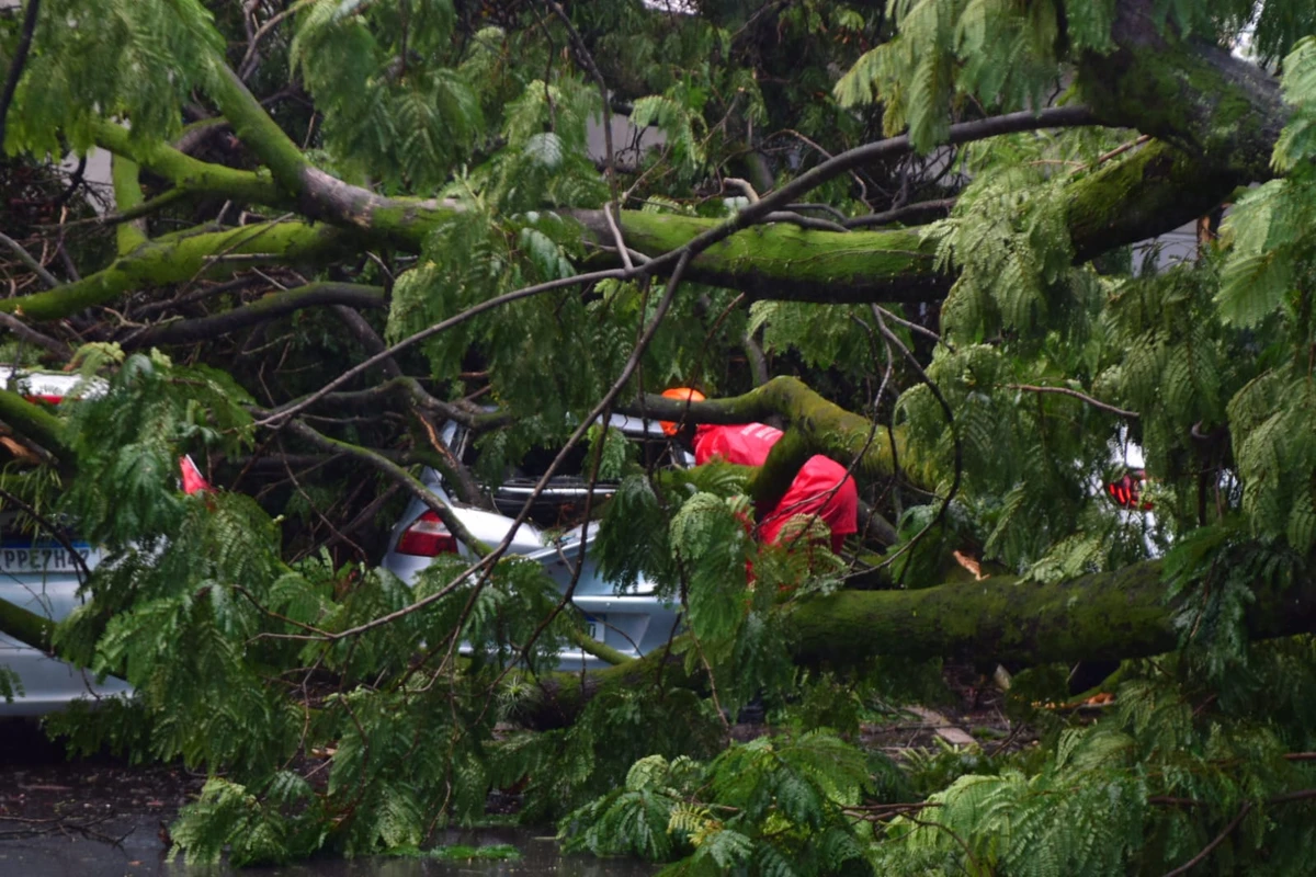 Seis carros atingidos por árvore em frente à Maternidade Unimed, em Santa Lúcia. Não houve feridos por Fernando Madeira/A Gazeta