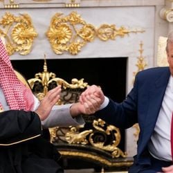 Sete países de maioria muçulmana aceitaram o convite para a nova organização de Trump, enquanto Putin, da Rússia, afirma que está considerando participar.