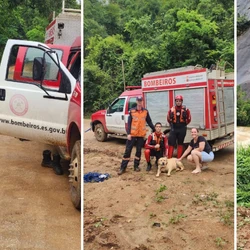 Athena, da raça labrador, passou a noite ilhada e isolada na localidade de São João, no interior do município, até ser salva pelos bombeiros nesta quinta (22)