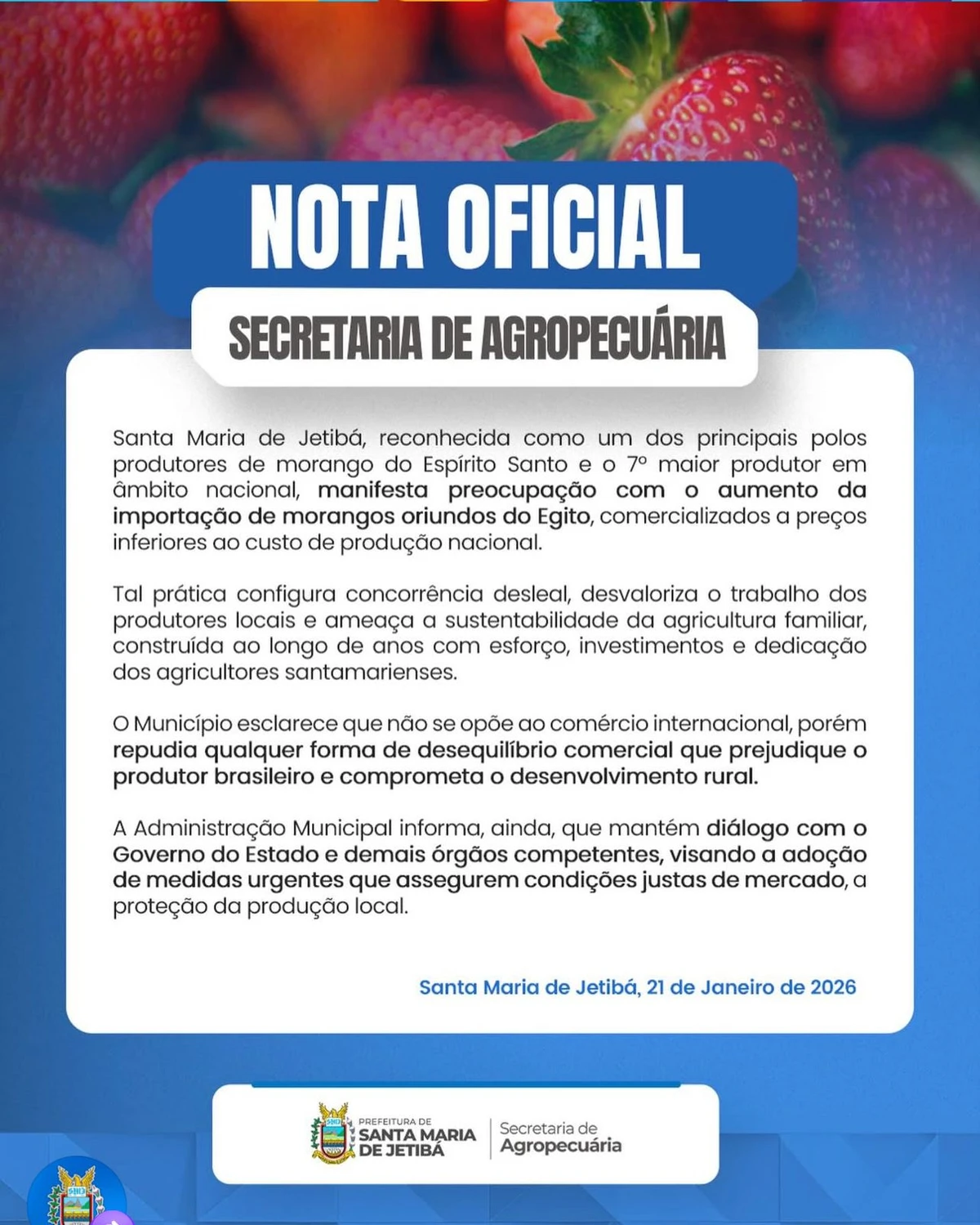 A nota oficial da Prefeitura de Santa Maria de Jetibá sobre a importação do morango pelo Brasil