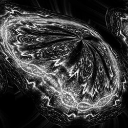 Ao conduzir o
equipamento sobre sua pele, Mazzoni produz autorretratos sonoros, visualidades que surgem da
interação entre corpo, imagem, som e gesto