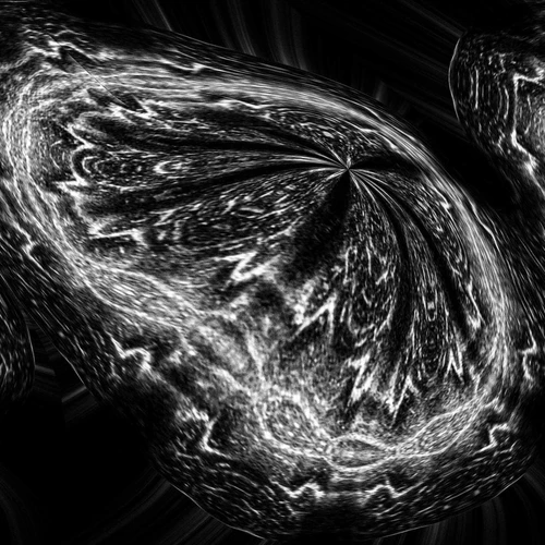 Imagem - Artista expõe obras de arte feitas por imagens criadas no ultrassom