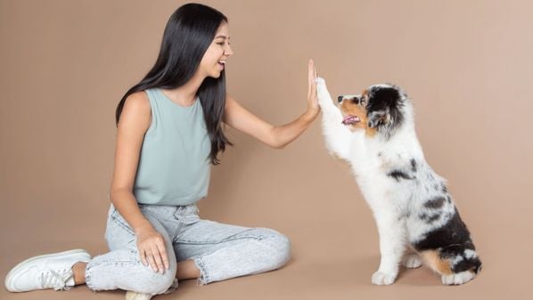 Especialista em comportamento canino explica como desafios mentais e estímulos diários impactam diretamente os cães