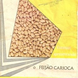 Desenvolvimento do feijão-carioquinha representou uma “revolução na mesa dos brasileiros” na década de 1970.