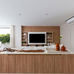 Descubra como as plantas podem ser ótimas aliadas para mudar a energia e o visual do seu lar