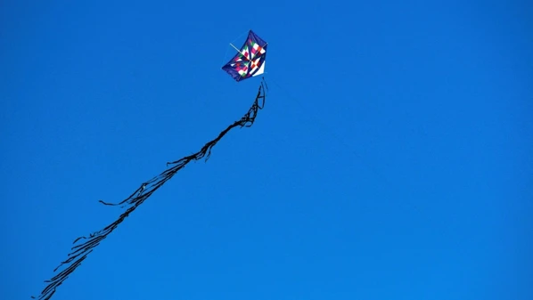 Somente no ano passado, foram registradas 899 ocorrências deste tipo no território capixaba, um crescimento de 45% em relação ao ano de 2024