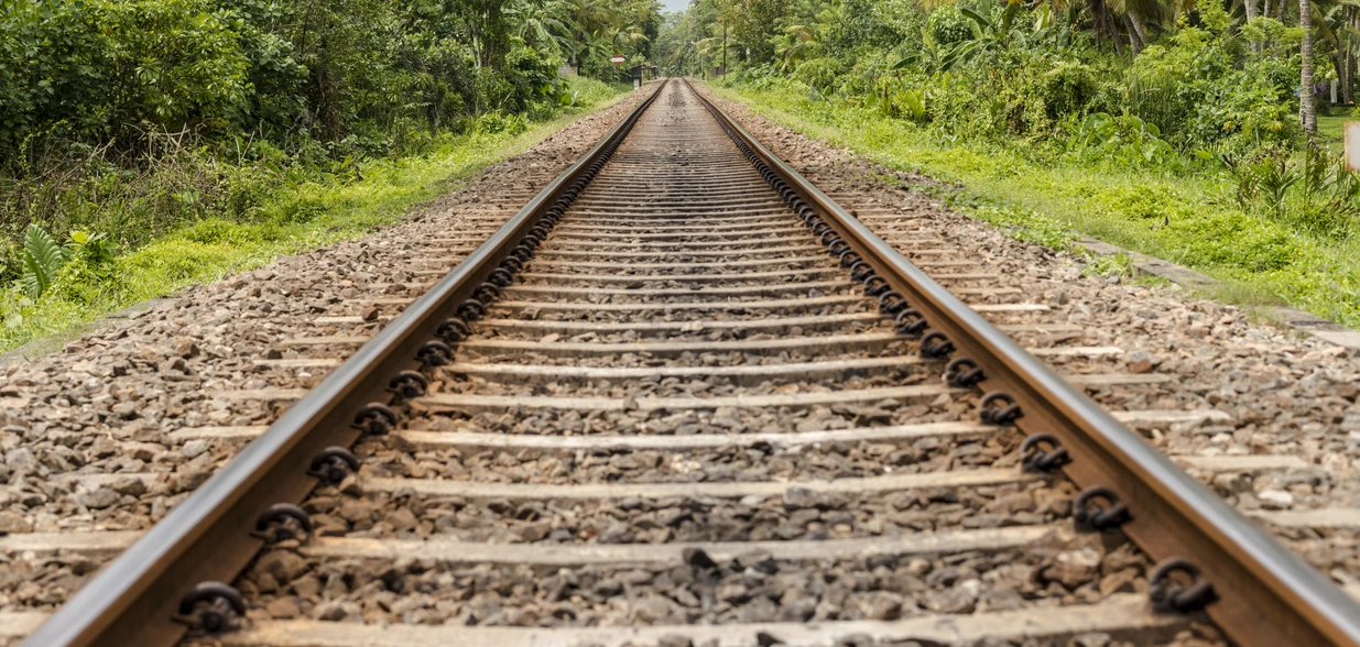 Estratégica para a consolidação de um novo eixo ferroviário no Sudeste, a estrada de ferro tem leilão previsto para o mês de junho