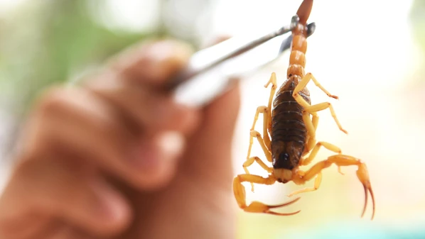 CBN Vitória - ujpl0e8dw