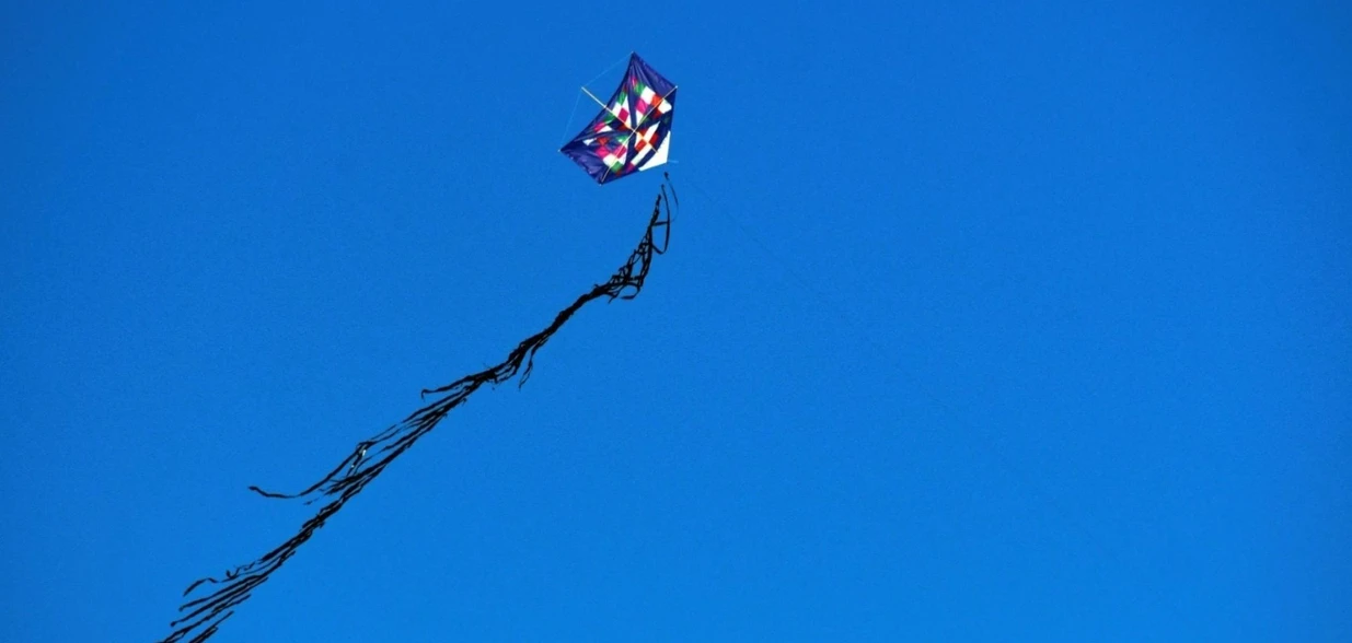 O gestor de operação da EDP, Filipe Lima, explica os riscos de soltar pipa perto da fiação