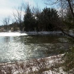 Cheyenne Hangaman disse que tentou resgatar os filhos os tirando da água e colocando no gelo, mas que a superfície continuava quebrando.