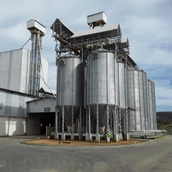 A partir de investimento de R$ 3 milhões, célula robótica vai entrar em operação na segunda quinzena de fevereiro, com braço mecânico para empilhar as sacas de ração de forma organizada