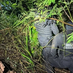 Daiane estava desaparecida desde 17 de dezembro e foi localizada em região de mata no município de Ipameri, a cerca de 15 quilômetros de Caldas Novas, no sul de Goiás