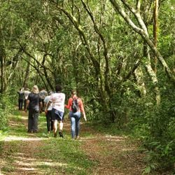 Caminho conectava o que é hoje o Brasil às estradas incas. Segundo arqueólogos, alguns trechos já eram percorridos há mais de 10 mil anos.