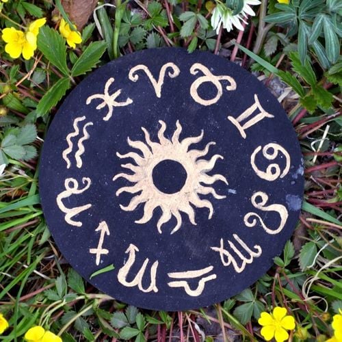 Imagem - Da lavanda ao girassol: veja qual planta cada signo deve ter em casa