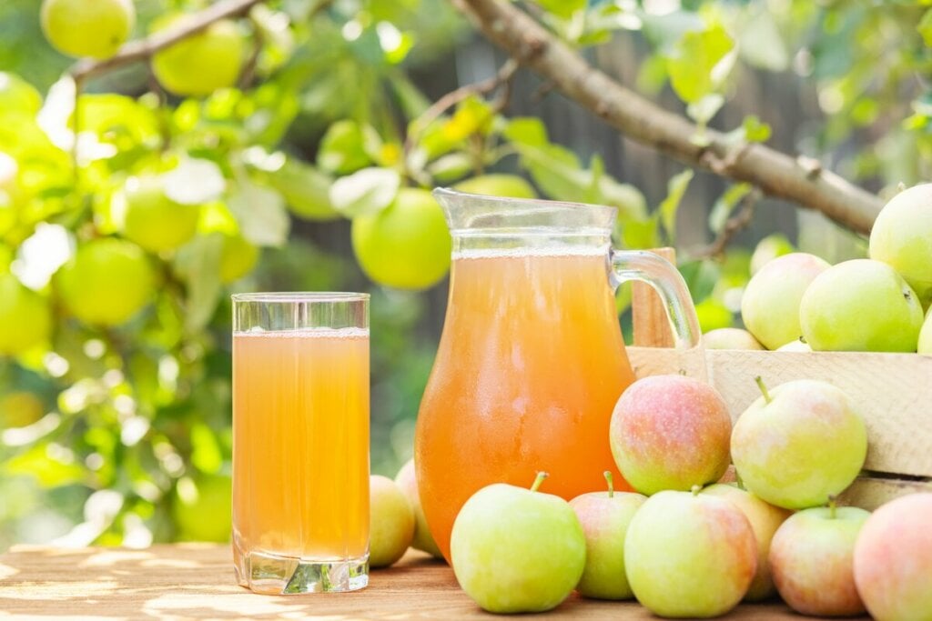 Suco de maçã com canela e gengibre(Imagem: Andrii Spy_k | Shutterstock)