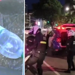 Homem estava sem habilitação, recusou o bafômetro, não pagou fiança e foi levado para o Centro de Triagem de Viana