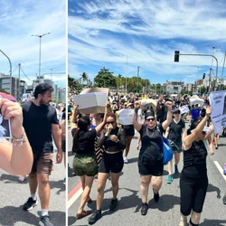 O cão comunitário Orelha foi morto com crueldade em Santa Catarina e gerou revolta em todo o Brasil