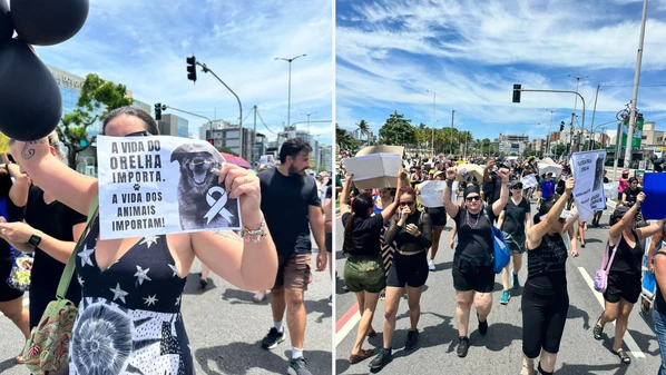 O cão comunitário Orelha foi morto com crueldade em Santa Catarina e gerou revolta em todo o Brasil