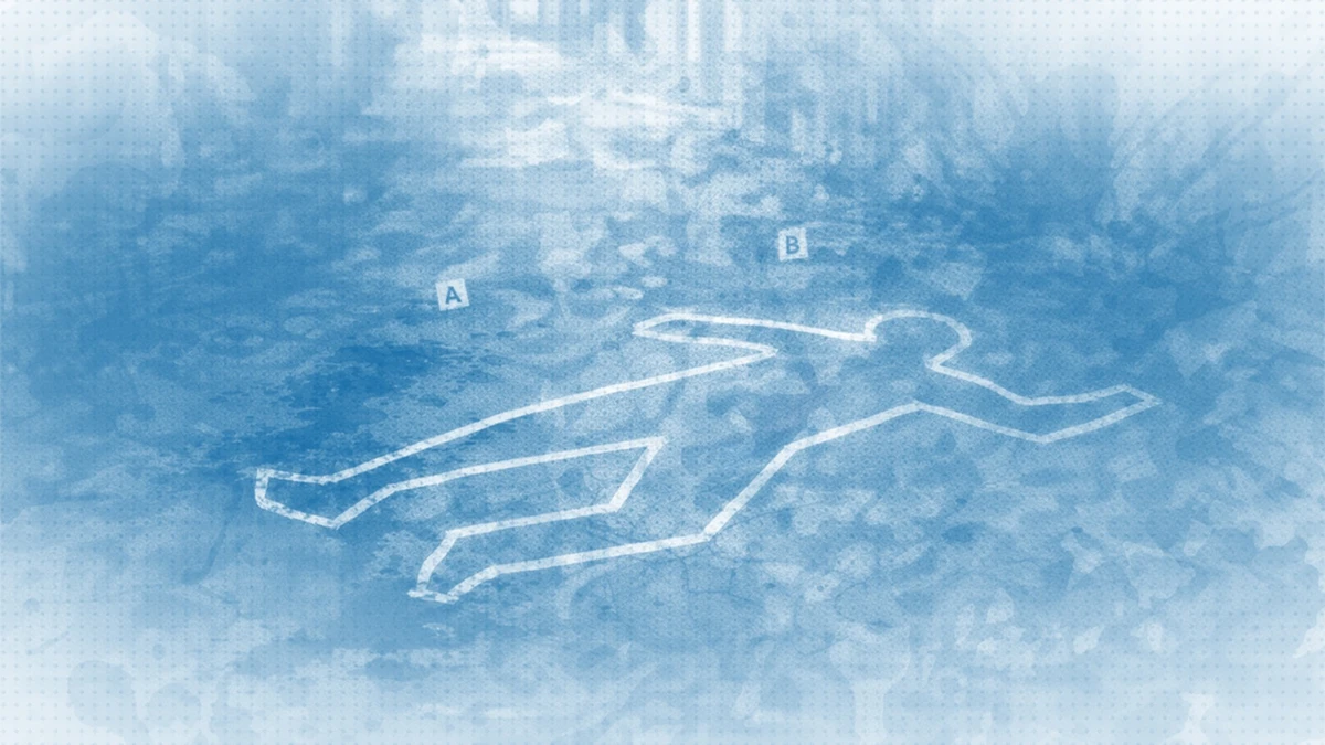 Homicídio, morte violenta, assassinato