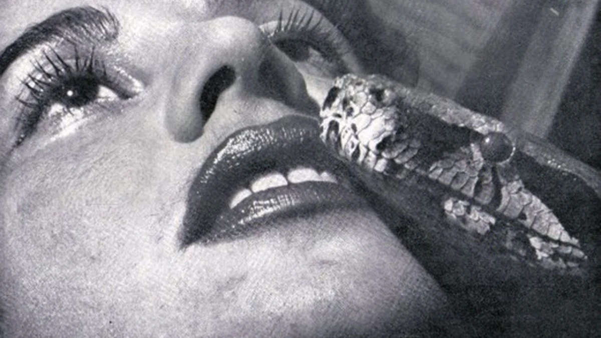 Luz del Fuego: conheça capixaba que será homenageada em bloco do Centro de Vitória