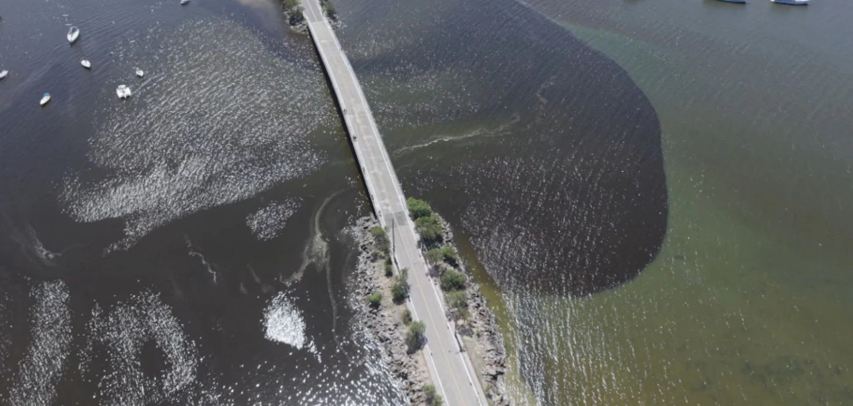 Análise visa identificar o que tem causado mancha escura em praia da Capital; expectativa é que estudo fique pronto em uma semana