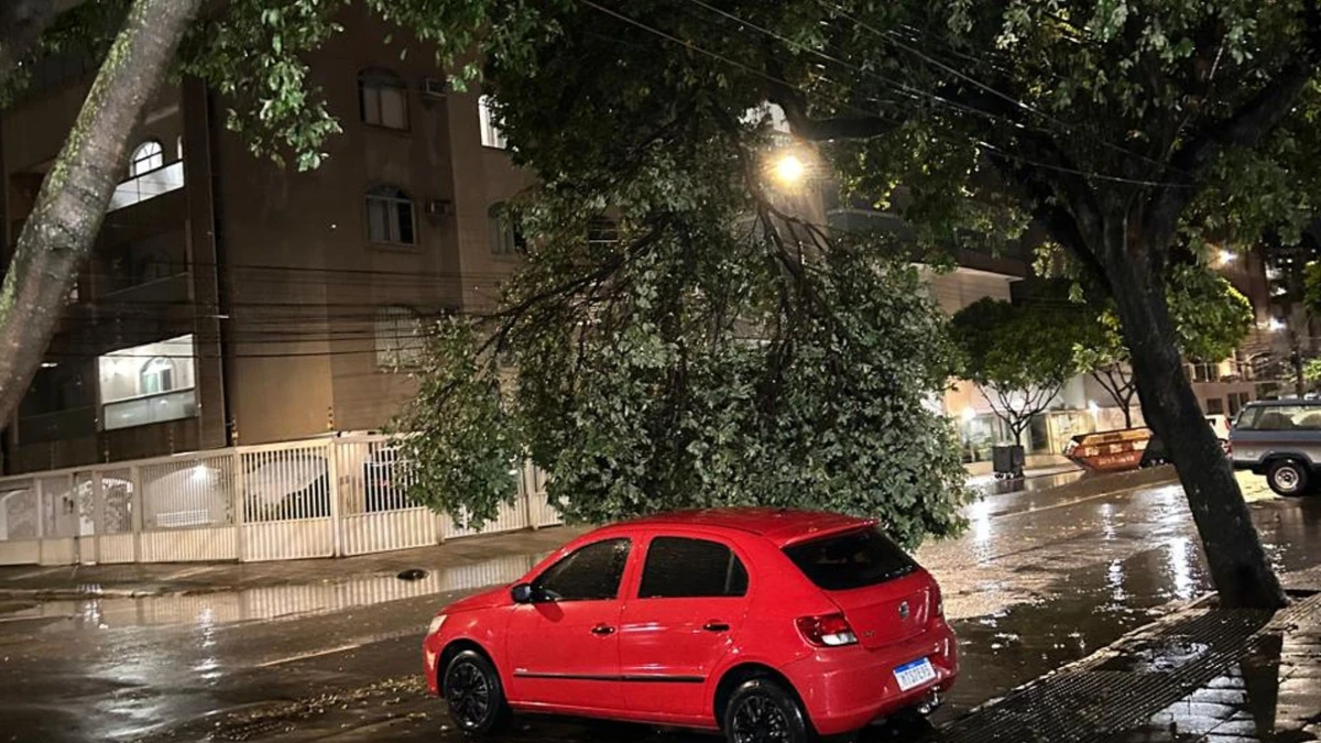 Árvore cai após temporal em Vitória