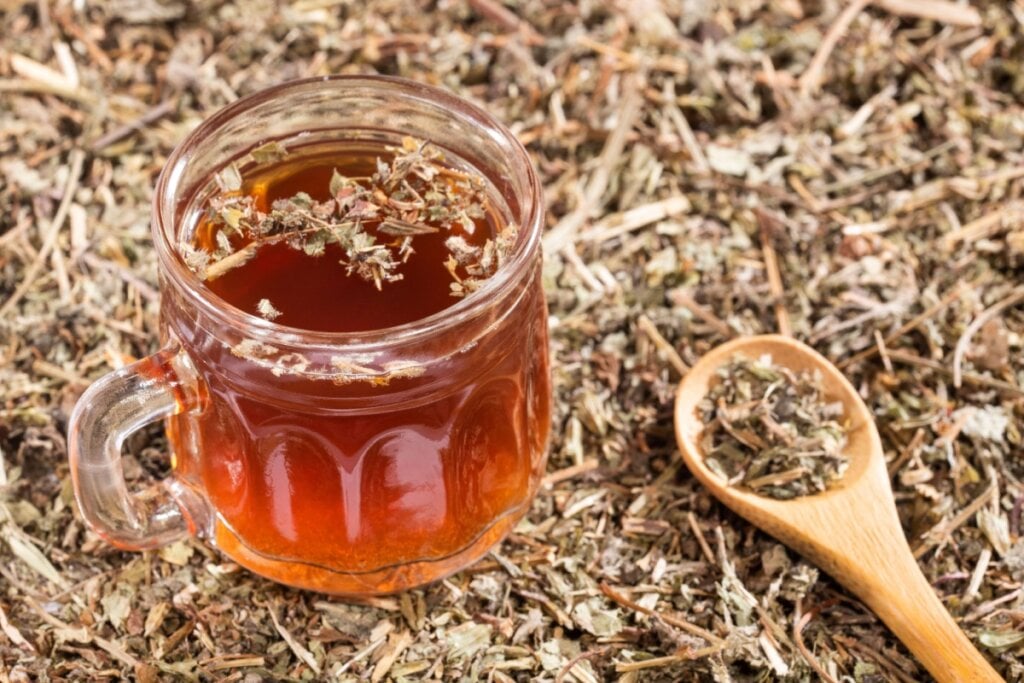 O chá de quebra-pedra tem compostos bioativos antioxidantes, que ajudam a proteger contra danos causados por radicais livres (Imagem: Luis Echeverri Urrea | Shutterstock) 