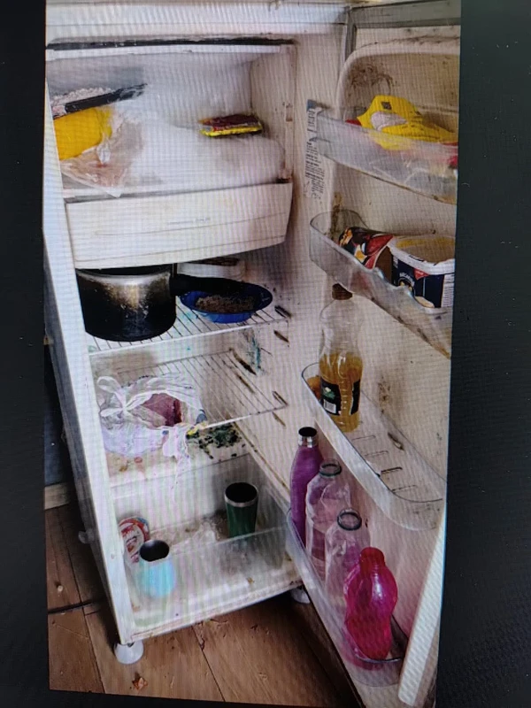 Mãe é presa após deixar filhos sem comida e em ambiente insalubre em Vila Velha por Reprodução