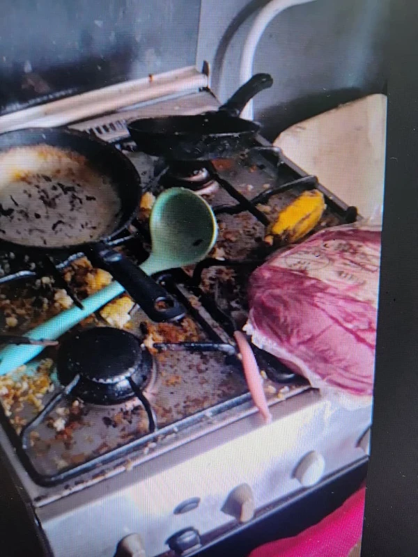 Mãe é presa após deixar filhos sem comida e em ambiente insalubre em Vila Velha por Reprodução