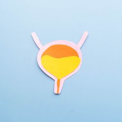 Queda dos hormônios fragiliza a proteção natural da bexiga e favorece infecções
