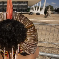 Decisão de Flávio Dino reconhece omissão constitucional e estabelece que indígenas devem ser beneficiários; medida foi pedida pelos indígenas cinta larga e será submetida ao plenário do Supremo
