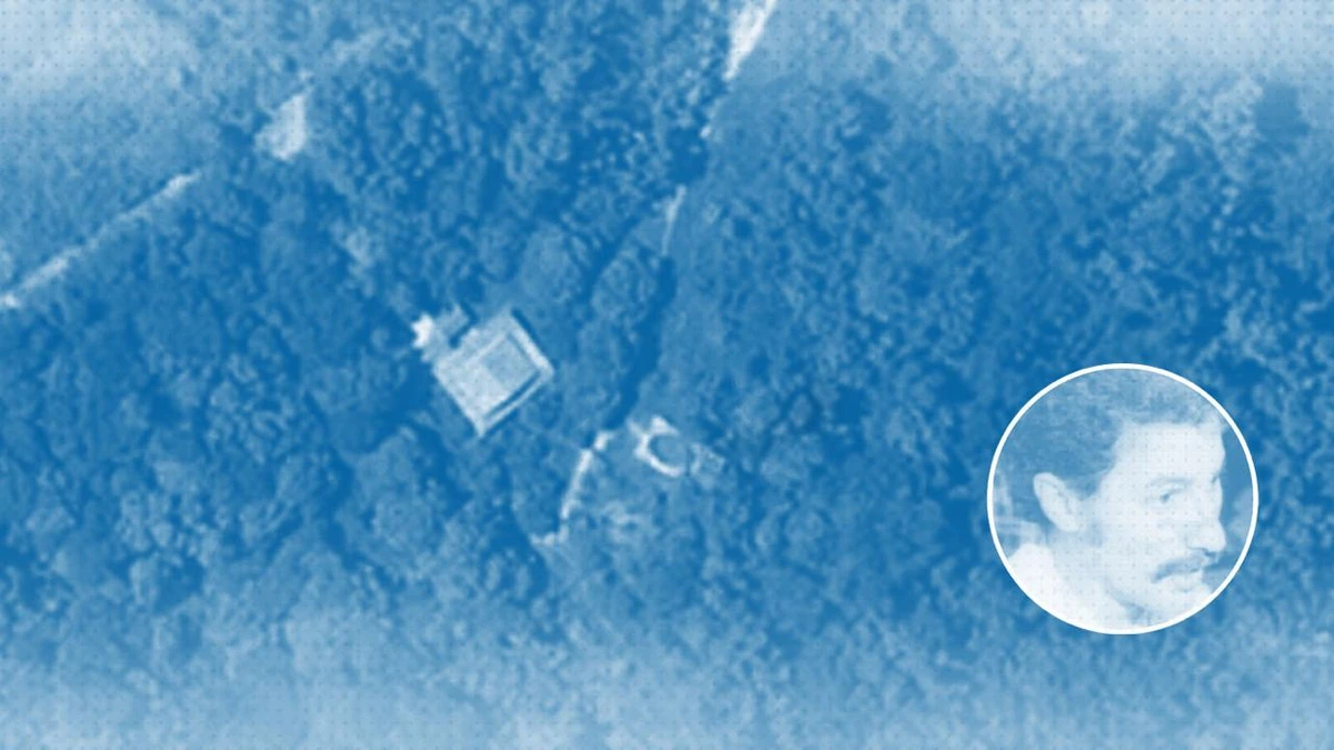 Dante Michelini  e sítio