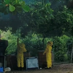 Vítimas de 10 e 7 anos tiveram ferimentos no rosto e nas costas; caso aconteceu na quinta-feira (5)