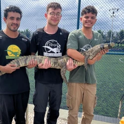 Desta vez, o réptil foi resgatado em um parque da orla de Camburi, em Vitória, nesta sexta-feira (6)