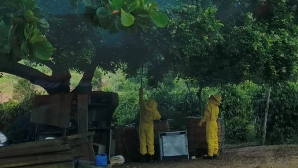 Vítimas de 10 e 7 anos tiveram ferimentos no rosto e nas costas; caso aconteceu na quinta-feira (5)