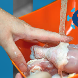 Você lava o frango antes de cozinhar? A pergunta gera debate nas redes sociais. No mundo ocidental, a orientação oficial é clara: não lavar frango cru, para evitar a disseminação de bactérias. Para muitos cozinheiros, porém, a prática é uma tradição cultural ligada à limpeza e ao cuidado. O que diz a ciência?