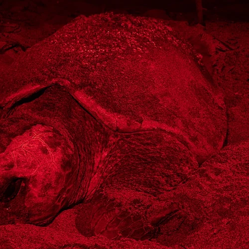 A Gazeta - eicmaxredub