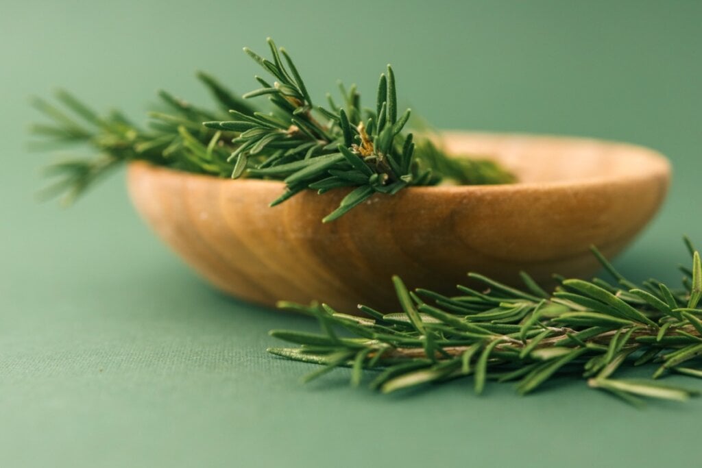 O aroma do alecrim ajuda a purificar o ambiente e proporciona sensação de bem-estar (Imagem: shine.graphics | Shutterstock) 