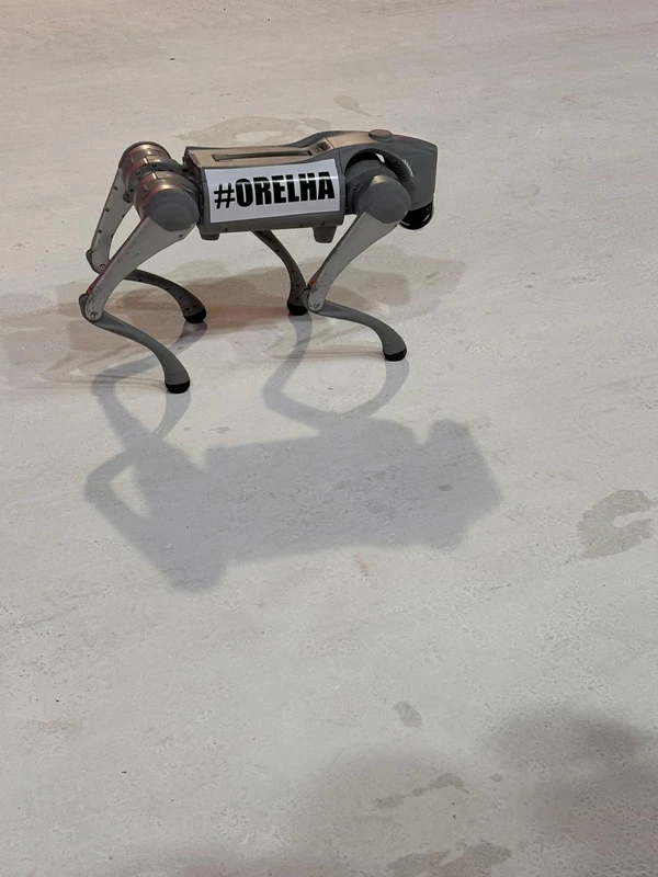 O robô Orelha: homenagem tecnológica ao cachorro barbaramente assassinado em Florianópolis, SC