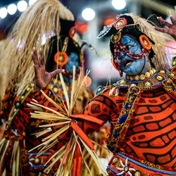Entre a noite de sábado (7) e a madrugada de domingo (8), desfilaram pela avenida Rosas de Ouro, Unidos da Piedade, Independente de Boa Vista, Chegou o Que Faltava e Andaraí