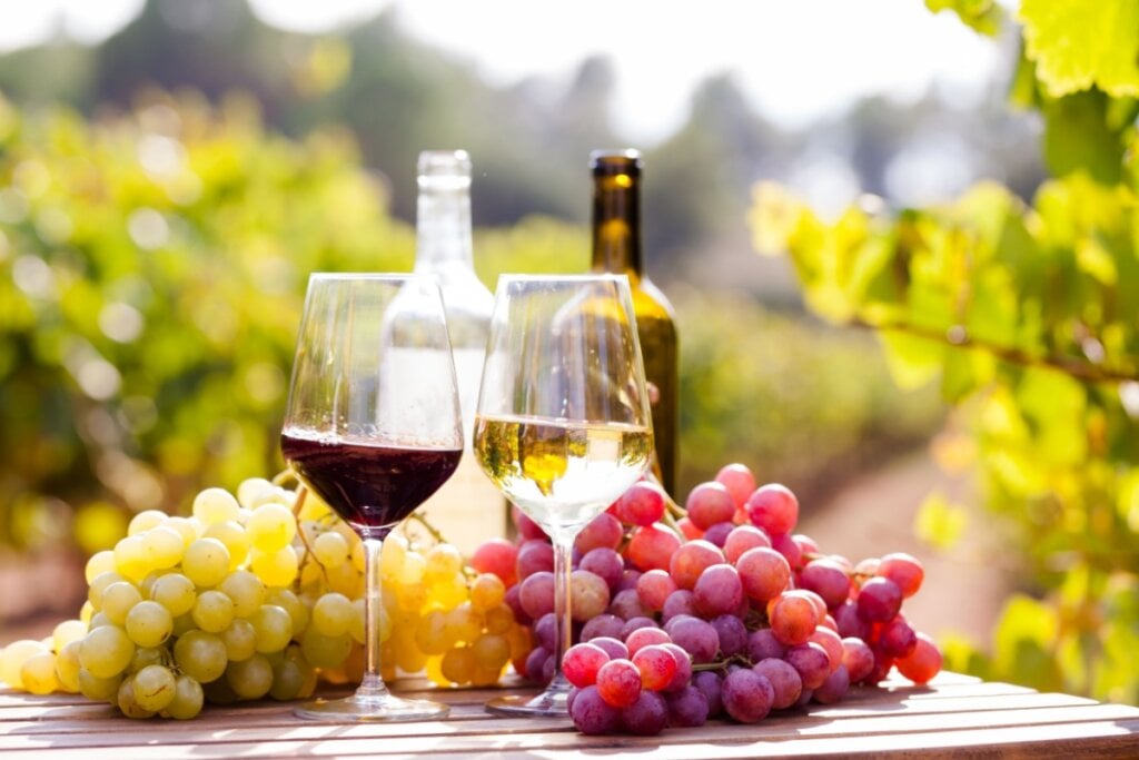 Uvas brancas e tintas dão origem a vinhos distintos, com características que vão além da cor (Imagem: Caftor | Shutterstock)