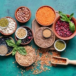 Versáteis, nutritivas e acessíveis, elas unem sabor e praticidade e contribuem para fortalecer o organismo
