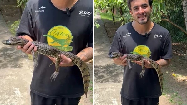 O réptil foi encontrado no bairro Civit II, na Serra; pesquisador disse que o animal está em boas condições de saúde e voltará à natureza