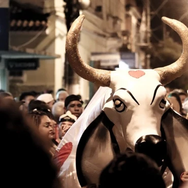 Imagem - Conheça o Carnaval dos Bois Pintadinhos, tradição que preserva a identidade de Muqui